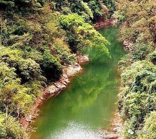 革命先驱“东江三杰”